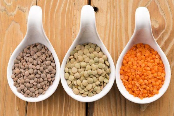 ประเภทของถั่วเลนทิล