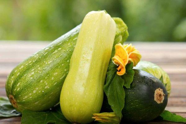 Courgettes mûres
