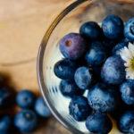 บลูเบอร์รี่ในชาม