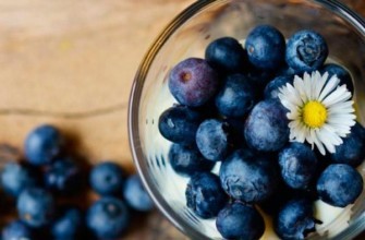 บลูเบอร์รี่ในชาม