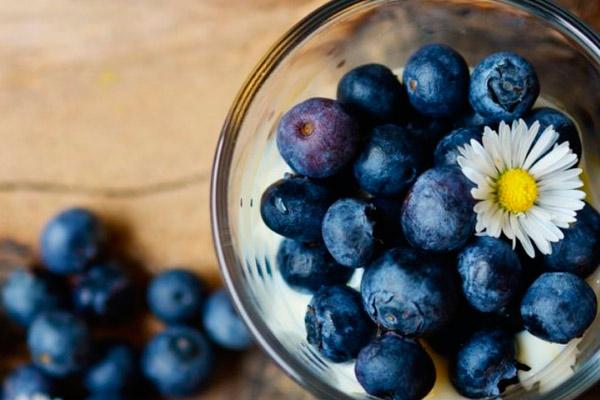 บลูเบอร์รี่ในชาม