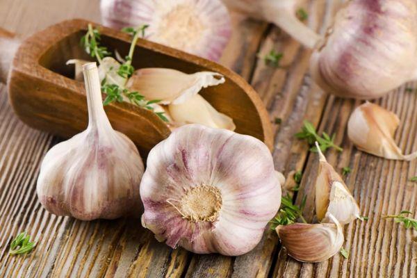 Ail du Komsomolskaïa