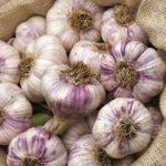 กระเทียม Lyubasha