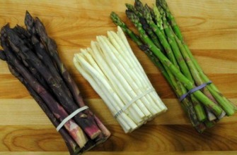 พันธุ์หน่อไม้ฝรั่ง