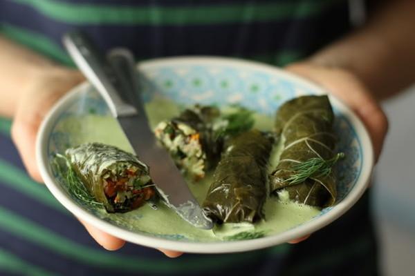 จานดอลมา