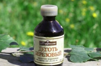 ทาร์เบิร์ช