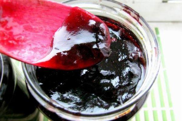 องุ่นอิซาเบลลา