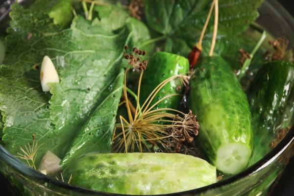 แตงกวาเค็มเล็กน้อยในกระทะ