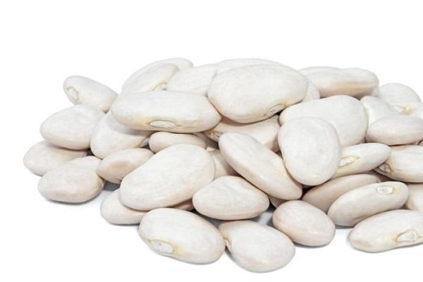 ลักษณะของถั่วลิมา