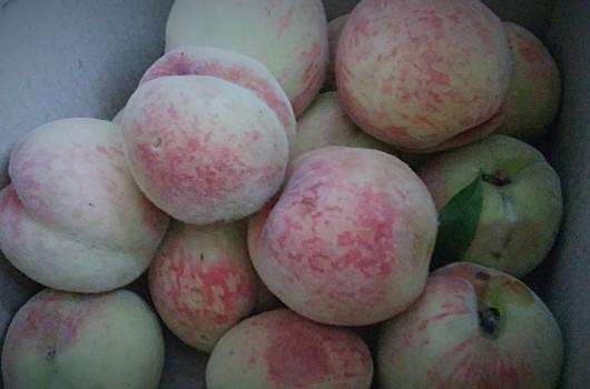 การแช่แข็งลูกพีชทั้งลูก