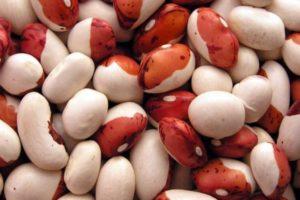 ประโยชน์และโทษของถั่วต่อโรคเบาหวาน เลือกชนิดไหนดี และสูตรอาหาร