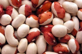 ถั่วผัก