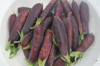 ถั่วลันเตาสีม่วง