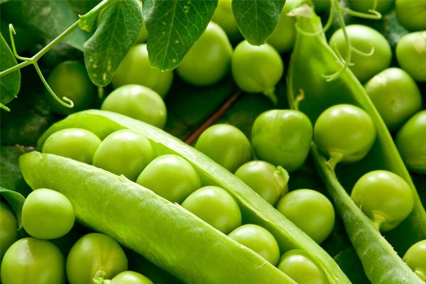 ถั่วลันเตา