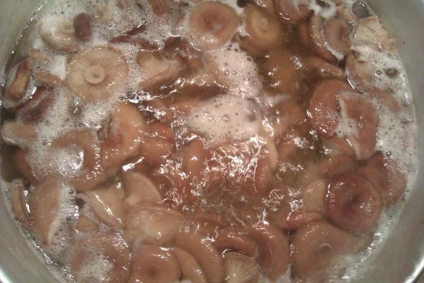 cuisiner des volnushki