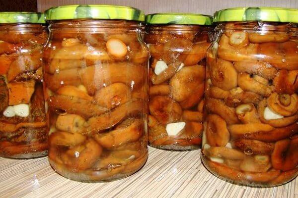 เห็ดโบเลตัสในขวดโหล