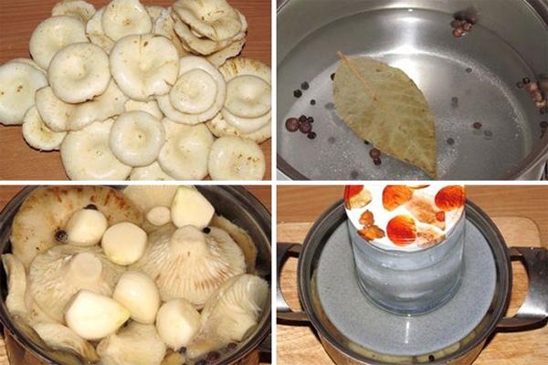 le processus de salage des champignons de lait