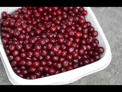 cerises dans un plateau