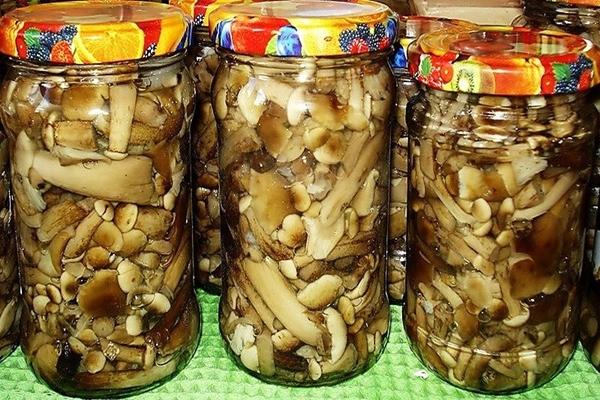 champignons au miel marinés en bocaux