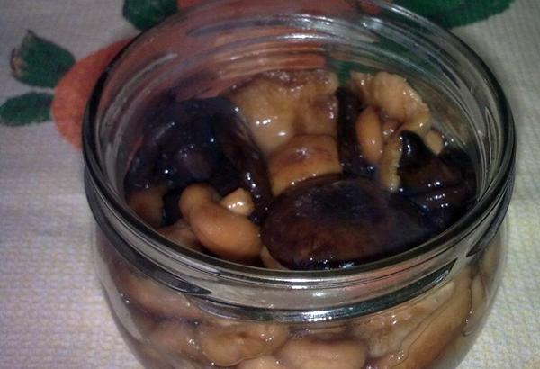 โรงเลี้ยงวัวเค็ม