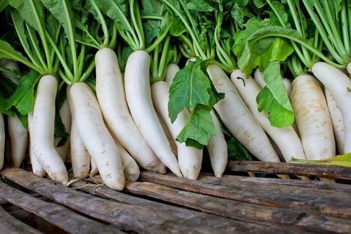 หัวไชเท้าสด