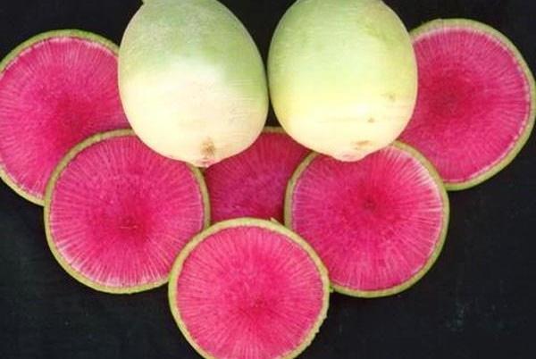 หัวไชเท้าแดงหั่นบาง