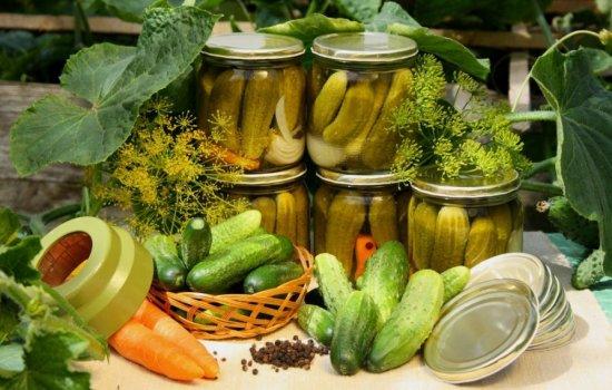 แตงกวากับน้ำผึ้ง