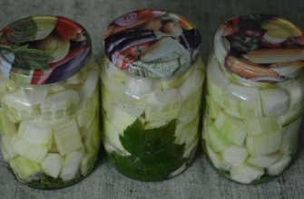 ซูกินี่เค็ม