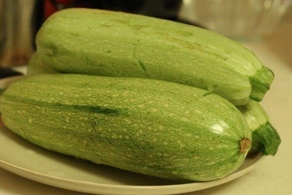 Courgettes fraîches