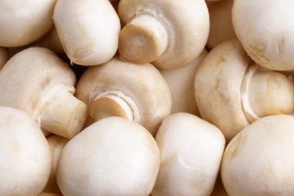 เห็ดแชมปิญองแช่แข็ง