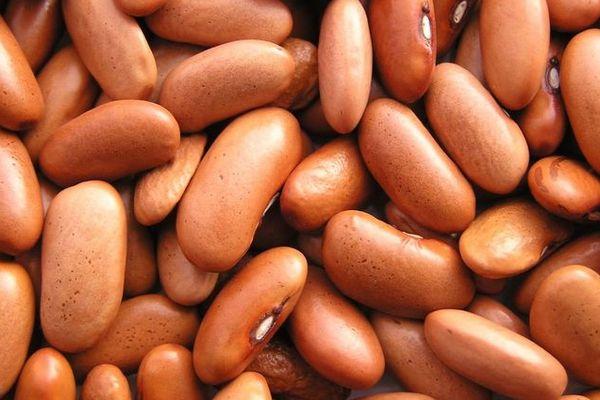ถั่วสีน้ำตาล