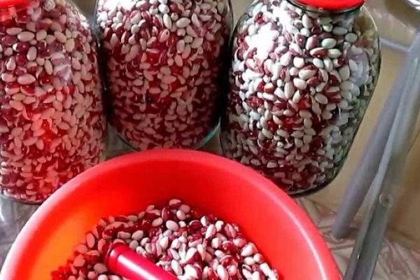 ถั่วในขวด