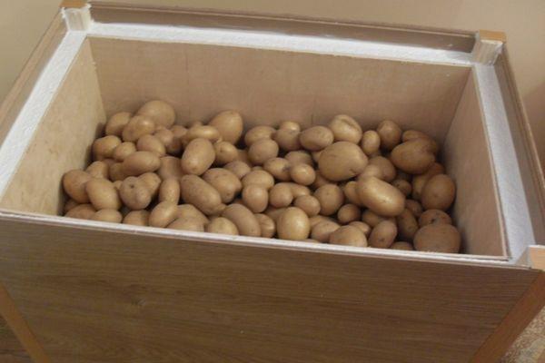 มันฝรั่งในกล่อง