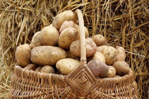 ตะกร้ามันฝรั่ง