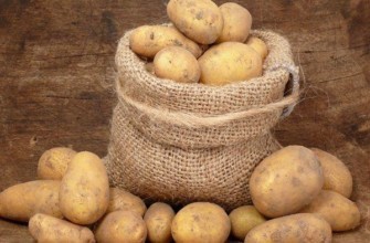 กระสอบมันฝรั่ง