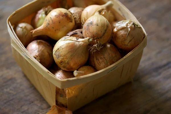 กล่องผัก