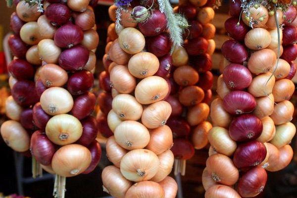 การตากหัวหอมให้แห้ง