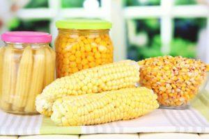 วิธีเก็บรักษาเมล็ดข้าวโพดและซังข้าวโพดในขวดที่บ้านในช่วงฤดูหนาว