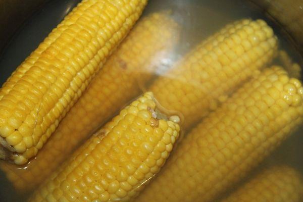 การต้มข้าวโพด