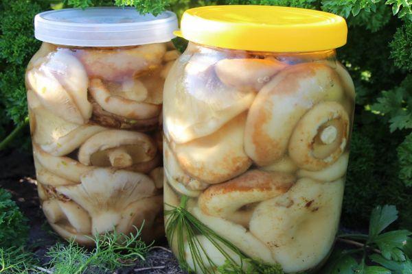 เห็ดดอง