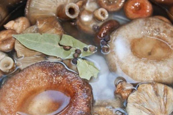 เห็ดในน้ำส้มสายชู