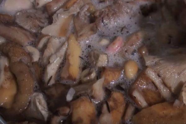 การเตรียมเห็ด