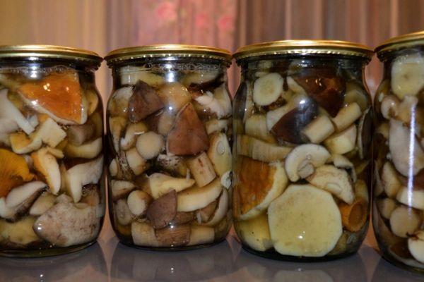 คลื่นสำหรับฤดูหนาว