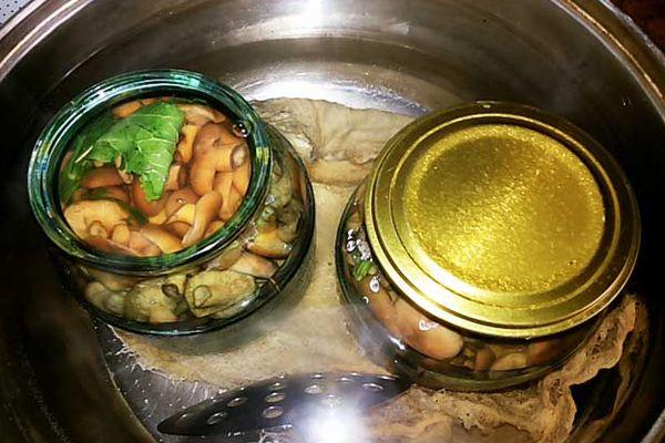 การฆ่าเชื้อชิ้นงาน