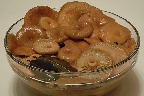 เห็ดหมัก