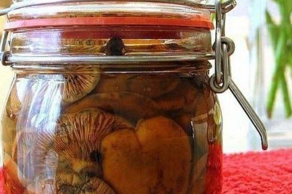 เห็ดในขวดโหล