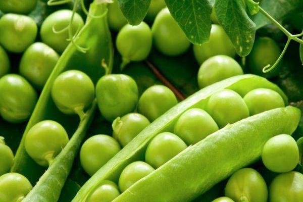 ถั่วเขียว