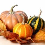 ฟักทองหลากหลายชนิด