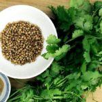 เมล็ดผักชี