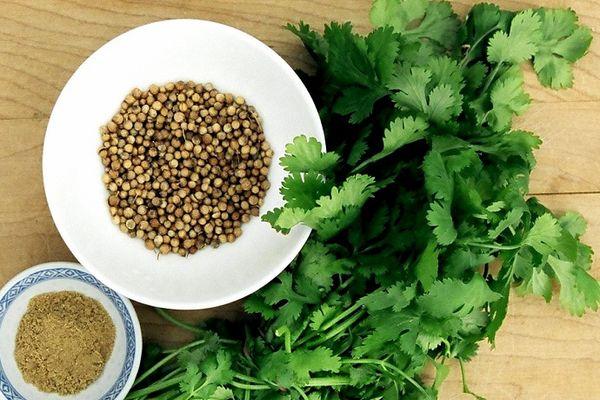 เมล็ดผักชี